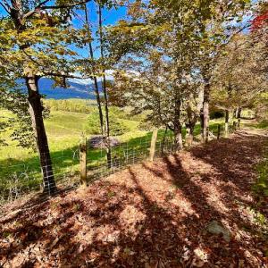 Photo #69 of 414 Niday Dr , Narrows, VA 590.2 acres