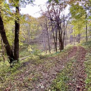 Photo #73 of 414 Niday Dr , Narrows, VA 590.2 acres