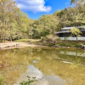 Photo #75 of 414 Niday Dr , Narrows, VA 590.2 acres