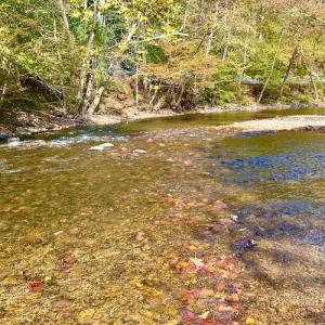 Photo #87 of 414 Niday Dr , Narrows, VA 590.2 acres