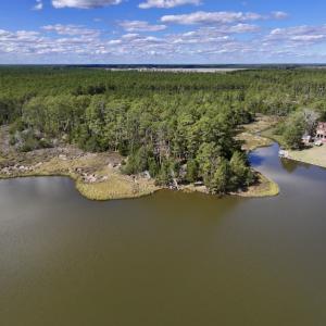 Photo #2 of SOLD property in Off Germantown Rd, Scranton, NC 9.5 acres