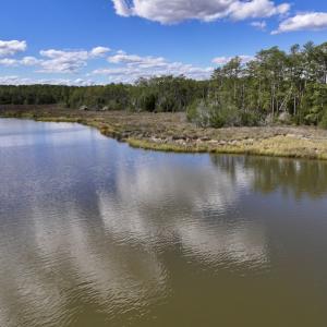 Photo #15 of SOLD property in Off Germantown Rd, Scranton, NC 9.5 acres