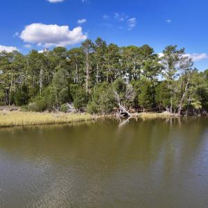 Photo #16 of SOLD property in Off Germantown Rd, Scranton, NC 9.5 acres