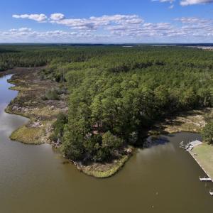 Photo #3 of SOLD property in Off Germantown Rd, Scranton, NC 9.5 acres