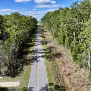 Photo #26 of SOLD property in Off Germantown Rd, Scranton, NC 9.5 acres