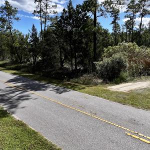 Photo #27 of SOLD property in Off Germantown Rd, Scranton, NC 9.5 acres