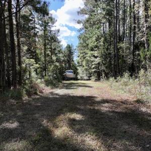 Photo #30 of SOLD property in Off Germantown Rd, Scranton, NC 9.5 acres