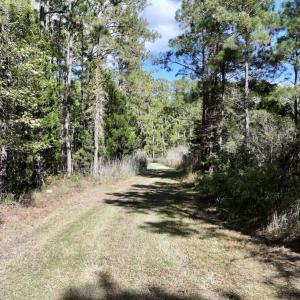 Photo #32 of SOLD property in Off Germantown Rd, Scranton, NC 9.5 acres