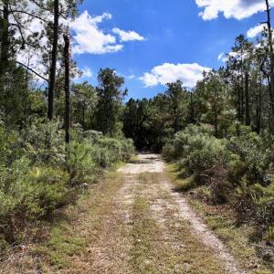 Photo #33 of SOLD property in Off Germantown Rd, Scranton, NC 9.5 acres