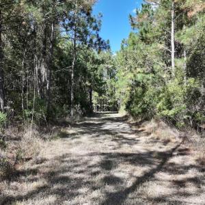 Photo #34 of SOLD property in Off Germantown Rd, Scranton, NC 9.5 acres