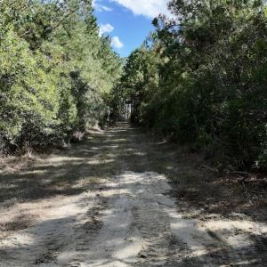 Photo #35 of SOLD property in Off Germantown Rd, Scranton, NC 9.5 acres