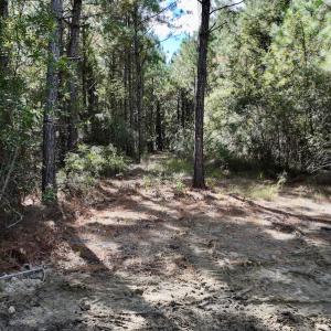 Photo #36 of SOLD property in Off Germantown Rd, Scranton, NC 9.5 acres