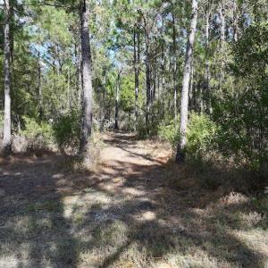 Photo #37 of SOLD property in Off Germantown Rd, Scranton, NC 9.5 acres