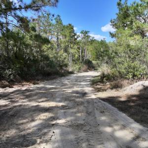 Photo #38 of SOLD property in Off Germantown Rd, Scranton, NC 9.5 acres
