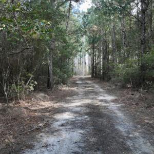 Photo #39 of SOLD property in Off Germantown Rd, Scranton, NC 9.5 acres