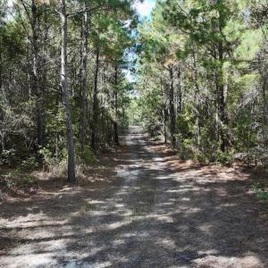 Photo #40 of SOLD property in Off Germantown Rd, Scranton, NC 9.5 acres