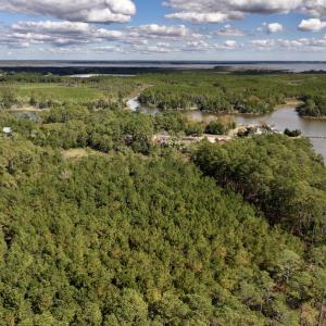 Photo #8 of SOLD property in Off Germantown Rd, Scranton, NC 9.5 acres