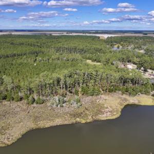 Photo #9 of SOLD property in Off Germantown Rd, Scranton, NC 9.5 acres