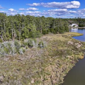 Photo #10 of SOLD property in Off Germantown Rd, Scranton, NC 9.5 acres