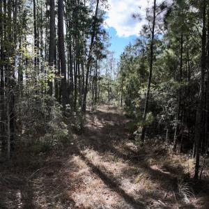 Photo #42 of SOLD property in Off Germantown Rd, Scranton, NC 9.5 acres