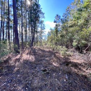 Photo #43 of SOLD property in Off Germantown Rd, Scranton, NC 9.5 acres