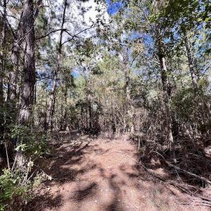 Photo #44 of SOLD property in Off Germantown Rd, Scranton, NC 9.5 acres