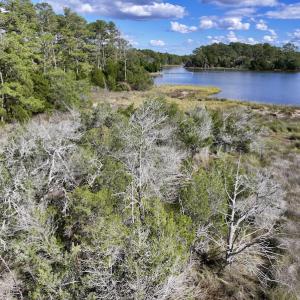 Photo #46 of SOLD property in Off Germantown Rd, Scranton, NC 9.5 acres
