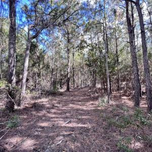 Photo #52 of SOLD property in Off Germantown Rd, Scranton, NC 9.5 acres
