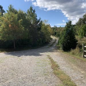 Photo #6 of SOLD property in 25102 Drewry Rd., Drewryville, VA 5.0 acres