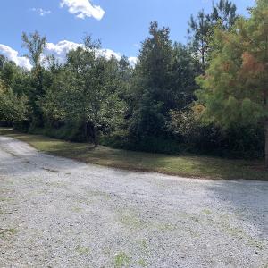 Photo #7 of 25102 Drewry Rd., Drewryville, VA 5.0 acres