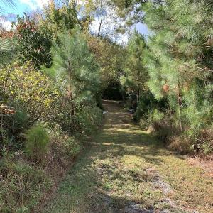 Photo #19 of 25102 Drewry Rd., Drewryville, VA 5.0 acres