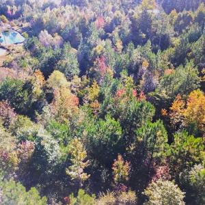 Photo #33 of 25102 Drewry Rd., Drewryville, VA 5.0 acres