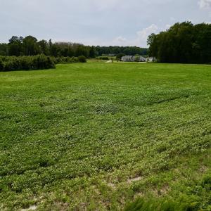 Photo #11 of SOLD property in Off Hwy 55, Dover, NC 14.1 acres