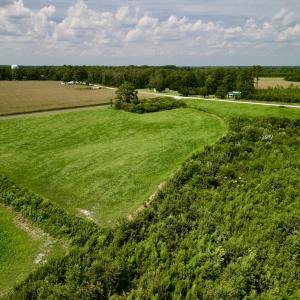 Photo #12 of SOLD property in Off Hwy 55, Dover, NC 14.1 acres