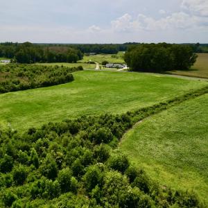 Photo #13 of SOLD property in Off Hwy 55, Dover, NC 14.1 acres