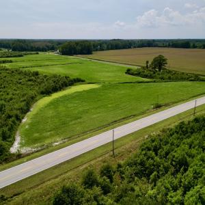 Photo #14 of SOLD property in Off Hwy 55, Dover, NC 14.1 acres