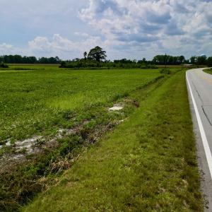 Photo #15 of SOLD property in Off Hwy 55, Dover, NC 14.1 acres