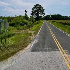 Photo #18 of SOLD property in Off Hwy 55, Dover, NC 14.1 acres