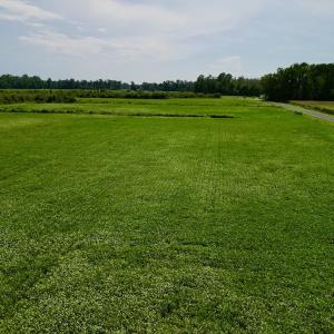 Photo #20 of SOLD property in Off Hwy 55, Dover, NC 14.1 acres