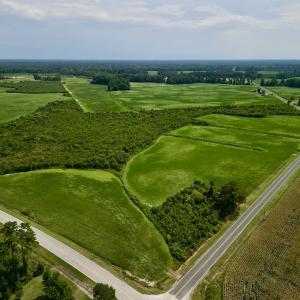 Photo #3 of SOLD property in Off Hwy 55, Dover, NC 14.1 acres