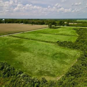 Photo #8 of SOLD property in Off Hwy 55, Dover, NC 14.1 acres