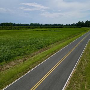 Photo #21 of SOLD property in Off Hwy 55, Dover, NC 14.1 acres