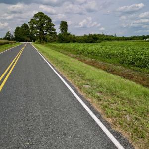 Photo #23 of SOLD property in Off Hwy 55, Dover, NC 14.1 acres