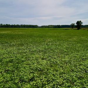 Photo #11 of SOLD property in Off Dover Fort Barnwell Rd, Dover, NC 32.0 acres