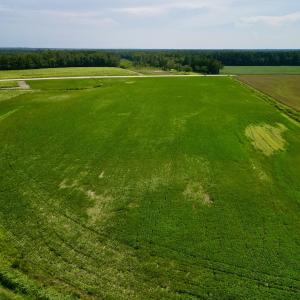 Photo #12 of SOLD property in Off Dover Fort Barnwell Rd, Dover, NC 32.0 acres