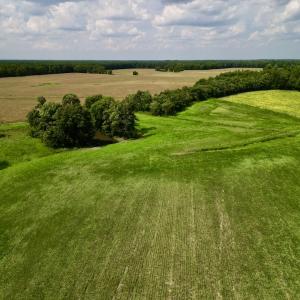 Photo #13 of SOLD property in Off Dover Fort Barnwell Rd, Dover, NC 32.0 acres
