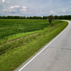 Photo #16 of SOLD property in Off Dover Fort Barnwell Rd, Dover, NC 32.0 acres