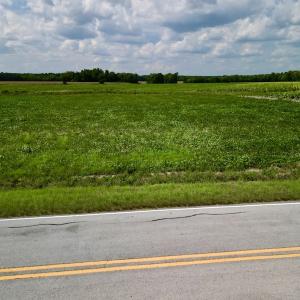 Photo #18 of SOLD property in Off Dover Fort Barnwell Rd, Dover, NC 32.0 acres