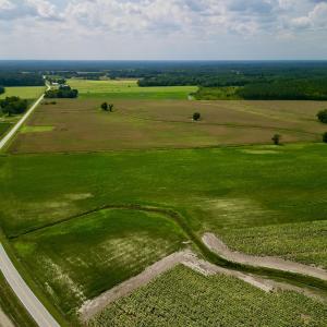Photo #4 of SOLD property in Off Dover Fort Barnwell Rd, Dover, NC 32.0 acres