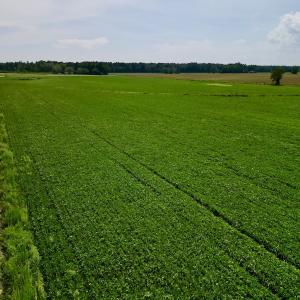 Photo #5 of SOLD property in Off Dover Fort Barnwell Rd, Dover, NC 32.0 acres